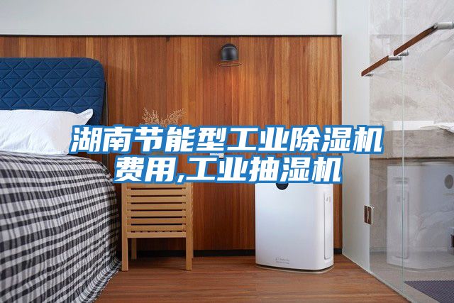 湖南節(jié)能型工業(yè)除濕機(jī)費用,工業(yè)抽濕機(jī)