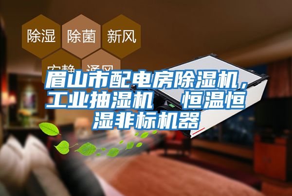眉山市配電房除濕機，工業抽濕機  恒溫恒濕非標機器