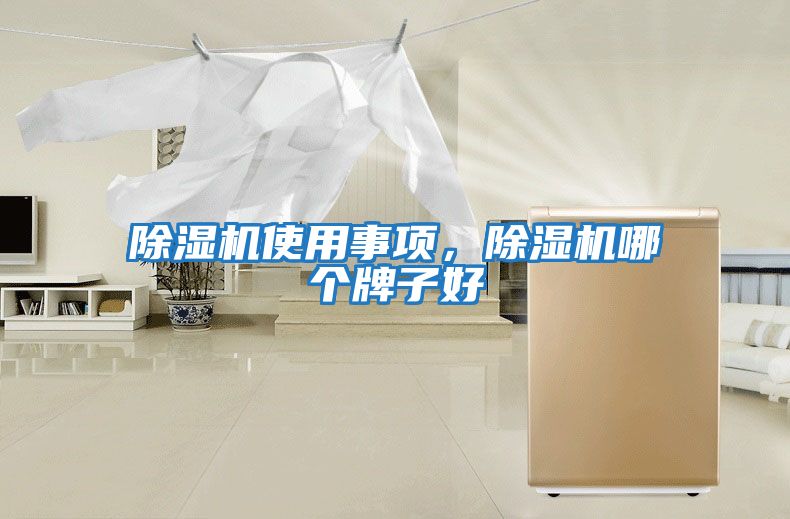 除濕機使用事項，除濕機哪個牌子好