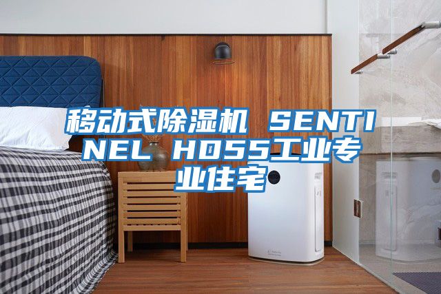 移動(dòng)式除濕機(jī) SENTINEL HD55工業(yè)專業(yè)住宅