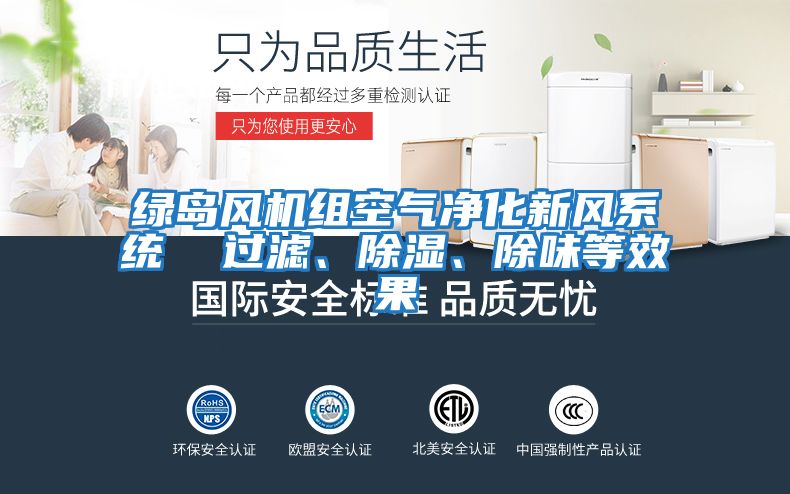 綠島風機組空氣凈化新風系統(tǒng)  過濾、除濕、除味等效果