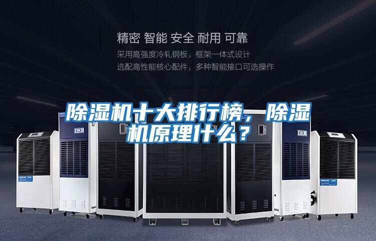 除濕機(jī)十大排行榜，除濕機(jī)原理什么？