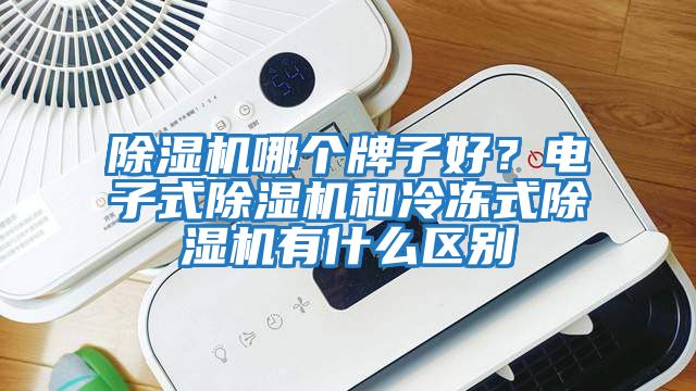除濕機哪個牌子好？電子式除濕機和冷凍式除濕機有什么區別