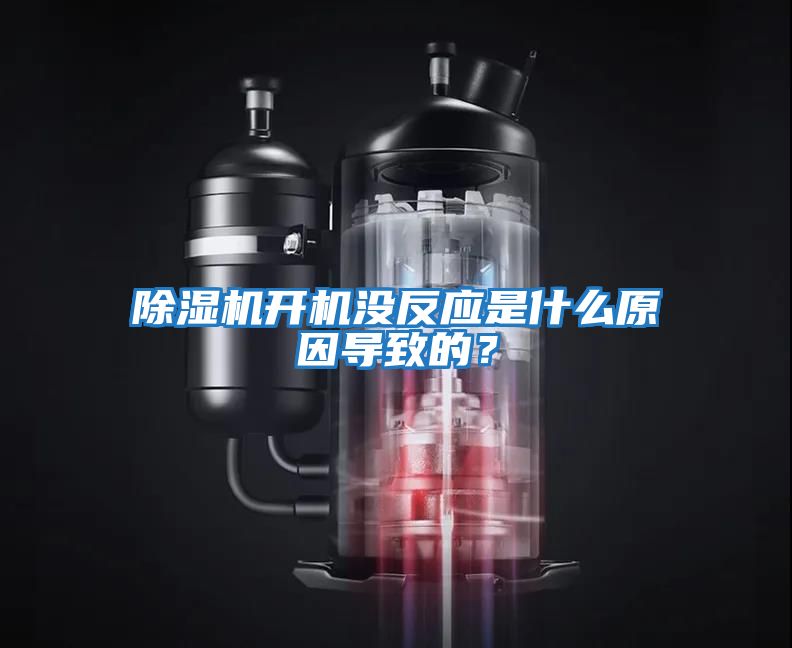除濕機開機沒反應是什么原因導致的？