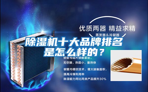 除濕機十大品牌排名是怎么樣的？