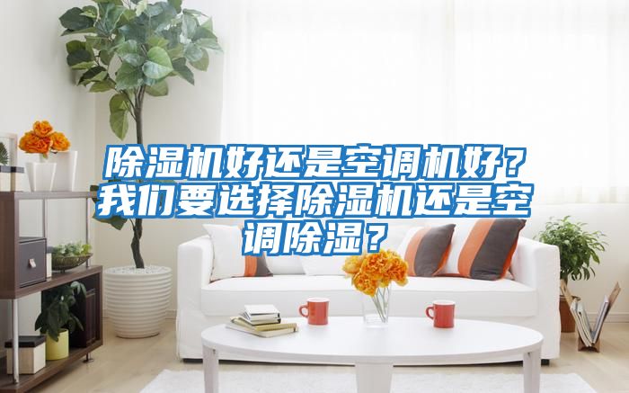 除濕機好還是空調(diào)機好？我們要選擇除濕機還是空調(diào)除濕？