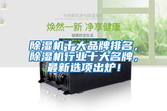 除濕機十大品牌排名，除濕機行業十大名牌，最新選項出爐！