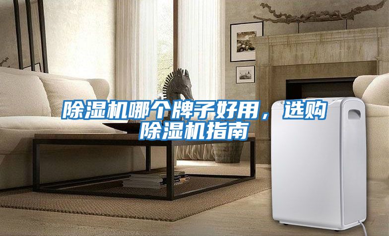 除濕機哪個牌子好用，選購除濕機指南