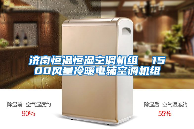 濟南恒溫恒濕空調機組  1500風量冷暖電輔空調機組