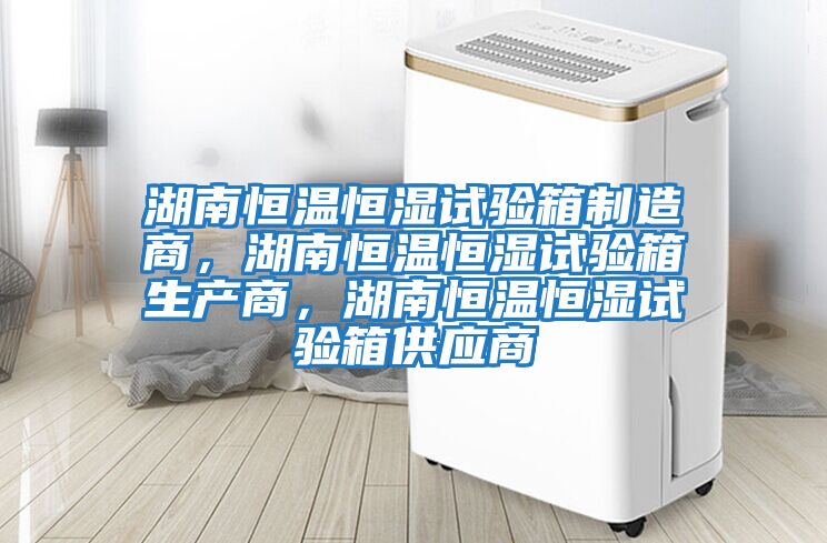 湖南恒溫恒濕試驗箱制造商，湖南恒溫恒濕試驗箱生產商，湖南恒溫恒濕試驗箱供應商