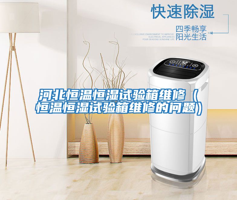 河北恒溫恒濕試驗(yàn)箱維修（恒溫恒濕試驗(yàn)箱維修的問(wèn)題）