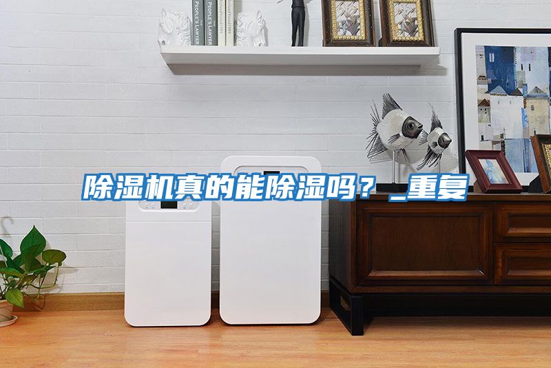 除濕機真的能除濕嗎？_重復