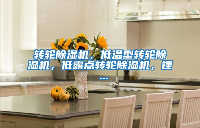 轉(zhuǎn)輪除濕機，低溫型轉(zhuǎn)輪除濕機，低露點轉(zhuǎn)輪除濕機，鋰 ...