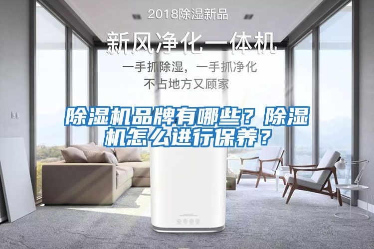 除濕機品牌有哪些？除濕機怎么進行保養？