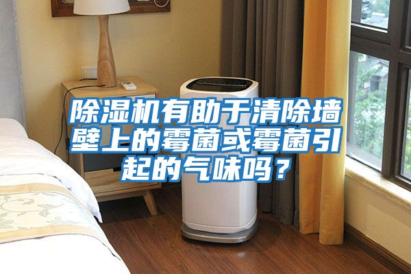 除濕機有助于清除墻壁上的霉菌或霉菌引起的氣味嗎？