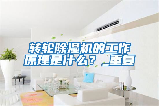 轉輪除濕機的工作原理是什么？_重復