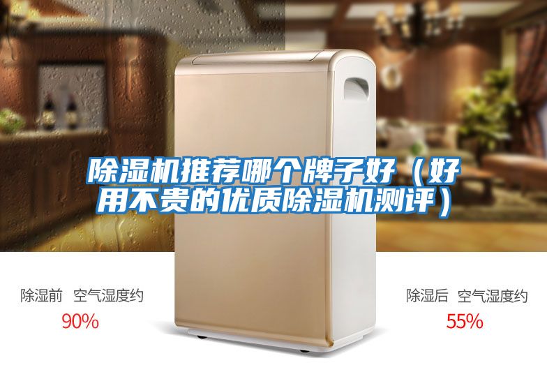 除濕機推薦哪個牌子好(好用不貴的優質除濕機測評)