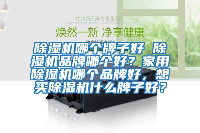 除濕機哪個牌子好 除濕機品牌哪個好？家用除濕機哪個品牌好，想買除濕機什么牌子好？