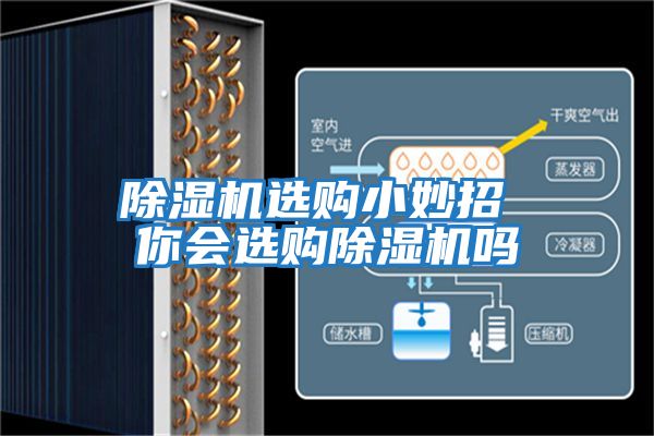 除濕機(jī)選購小妙招 你會選購除濕機(jī)嗎