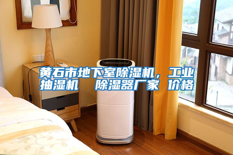 黃石市地下室除濕機，工業抽濕機  除濕器廠家 價格