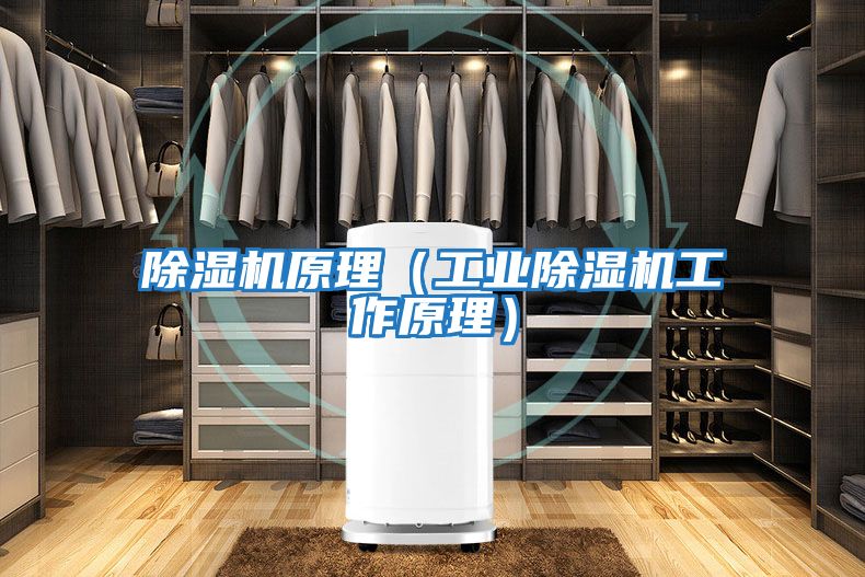 除濕機原理(工業除濕機工作原理)