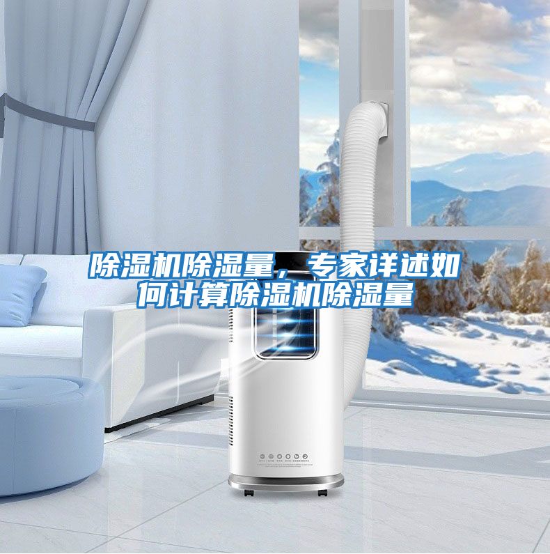除濕機除濕量，專家詳述如何計算除濕機除濕量