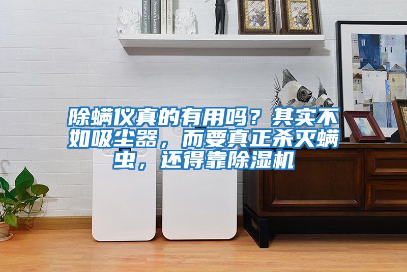 除螨儀真的有用嗎?其實不如吸塵器,而要真正殺滅螨蟲,還得靠除濕機