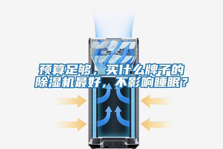 預算足夠，買什么牌子的除濕機最好，不影響睡眠？