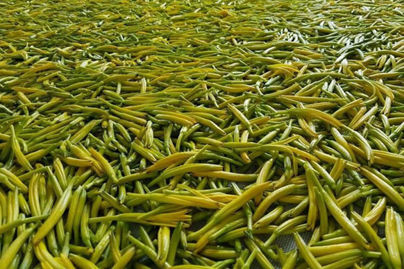 無硫金針菜烘干如何保持品相？不發(fā)黑？_除濕機廠家