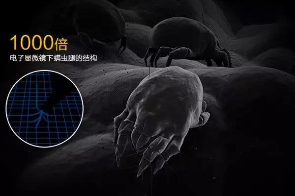 螨蟲高發季，家用除濕機除螨有妙計！